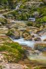 Slovenia, Triglav National Park, Soca River. Scenic with rocky stream. Art Print